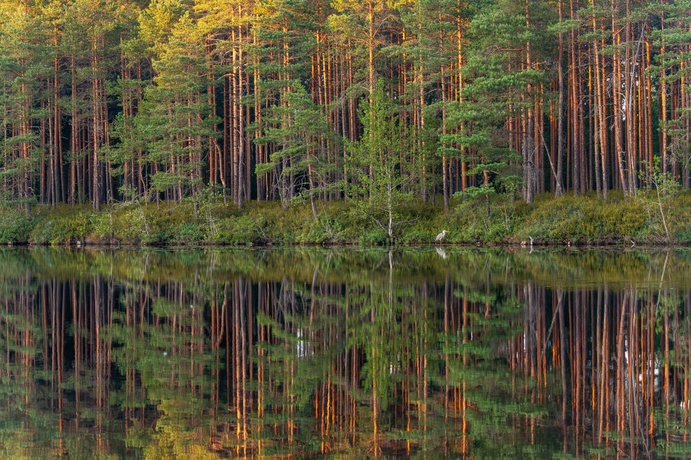 Meer in Finland