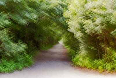 Paadje door de duinen, ICM