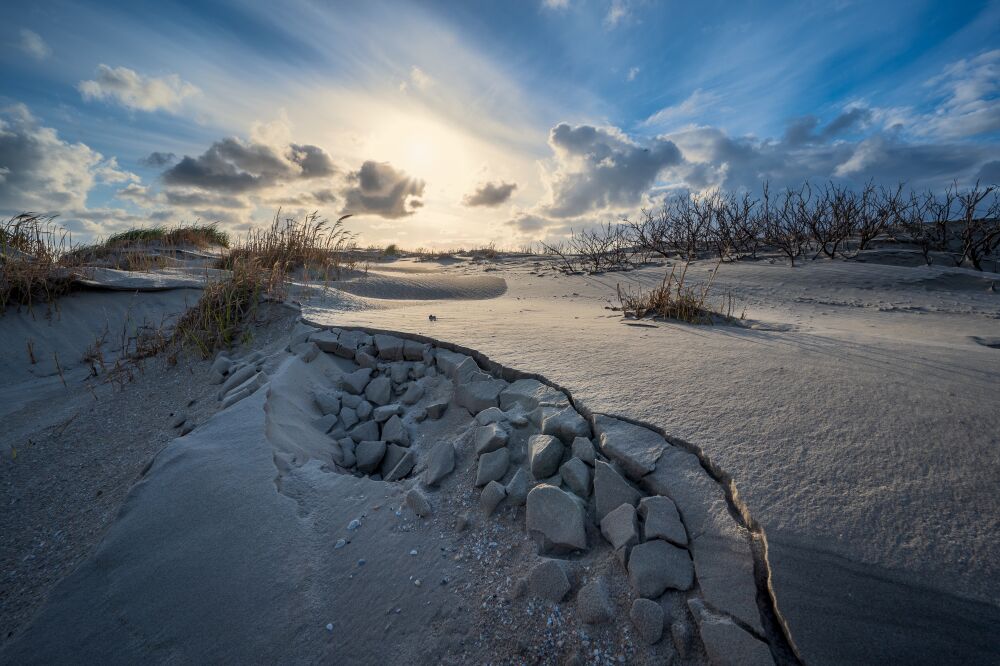 Beach tranquility