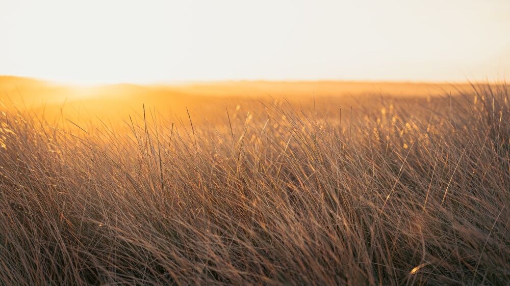 Sunrise over the dune landscape of the Wadden Island of Texel