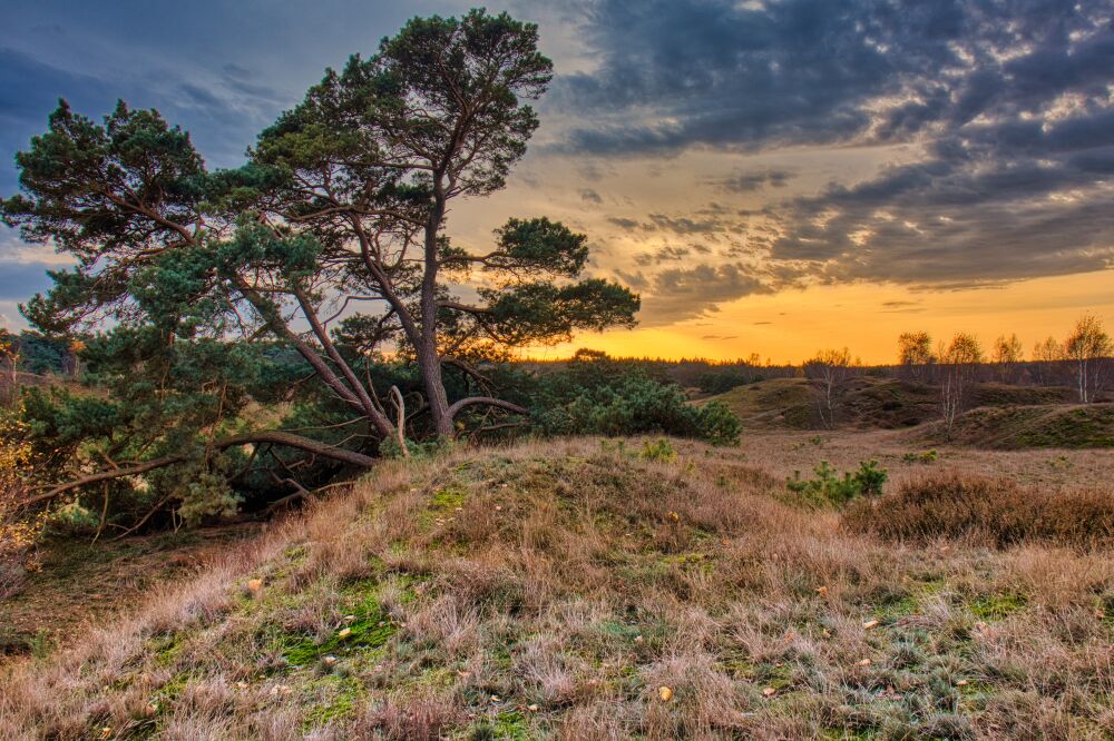 Kleurrijke zonsondergang Wekeromse Zand