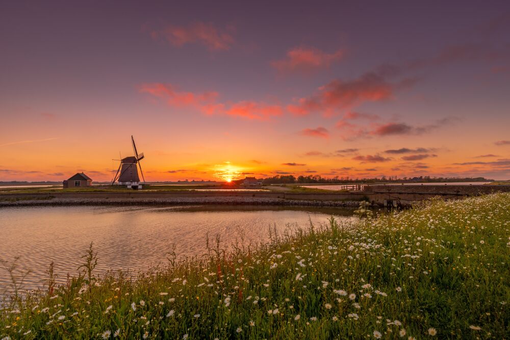 Lente sferen bij de Molen Het Noorden