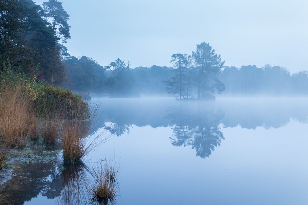 A windless morning at the Oisterwijk fens