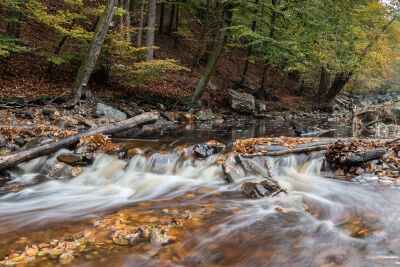 Herfst in de Ardennen