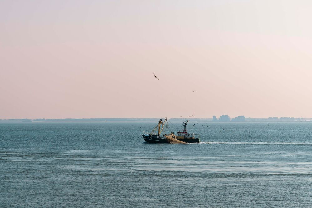 Eenzaamheid op Zee - Vissersboot bij Dageraad - Vlissingen