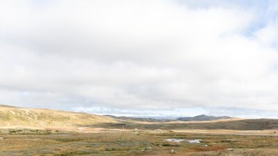 Hardangervidda 2