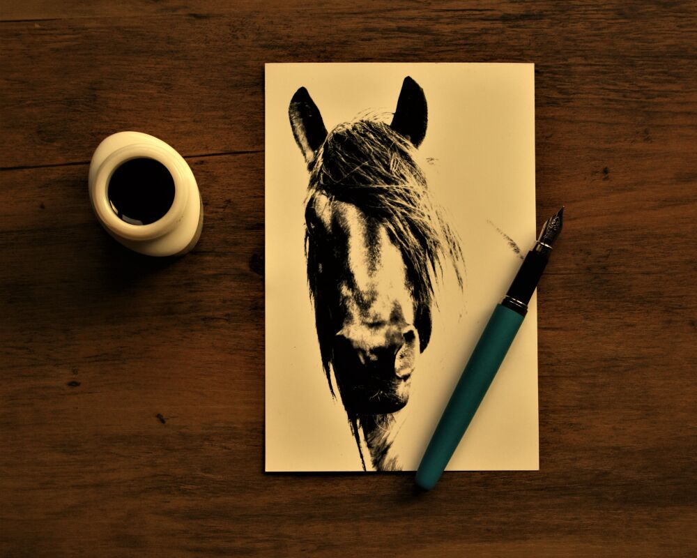 Tekening paard