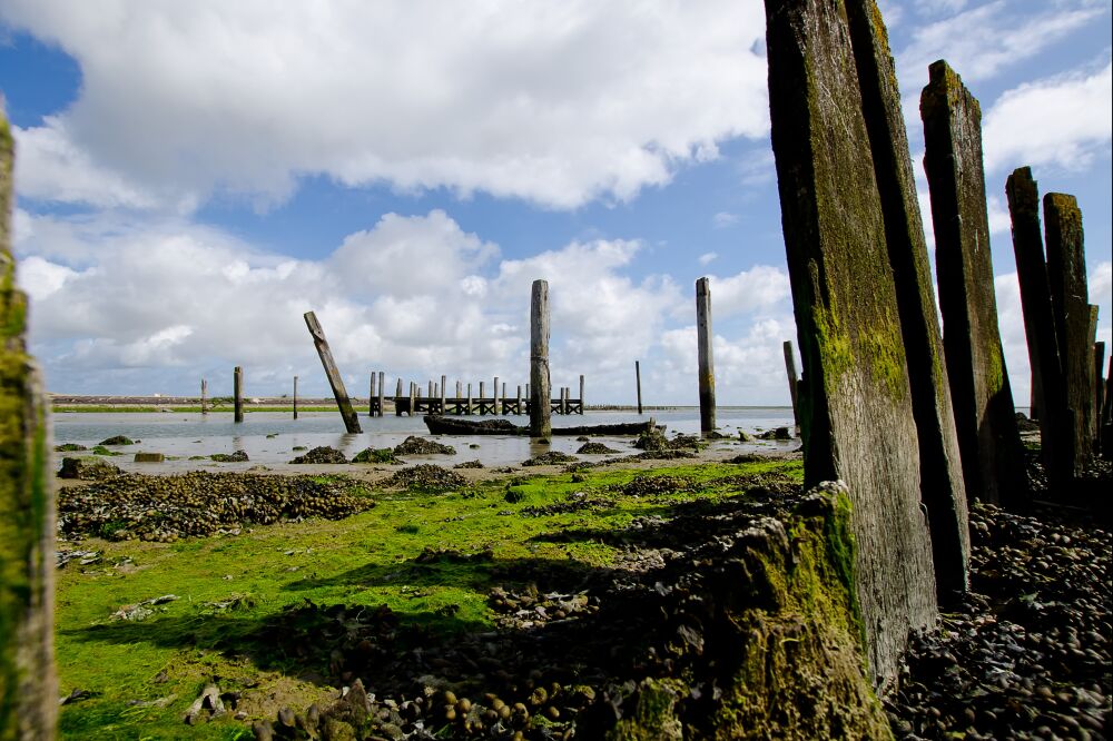 Het haventje van Sil in De Cocksdorp op Texel met het verdwenen bootje