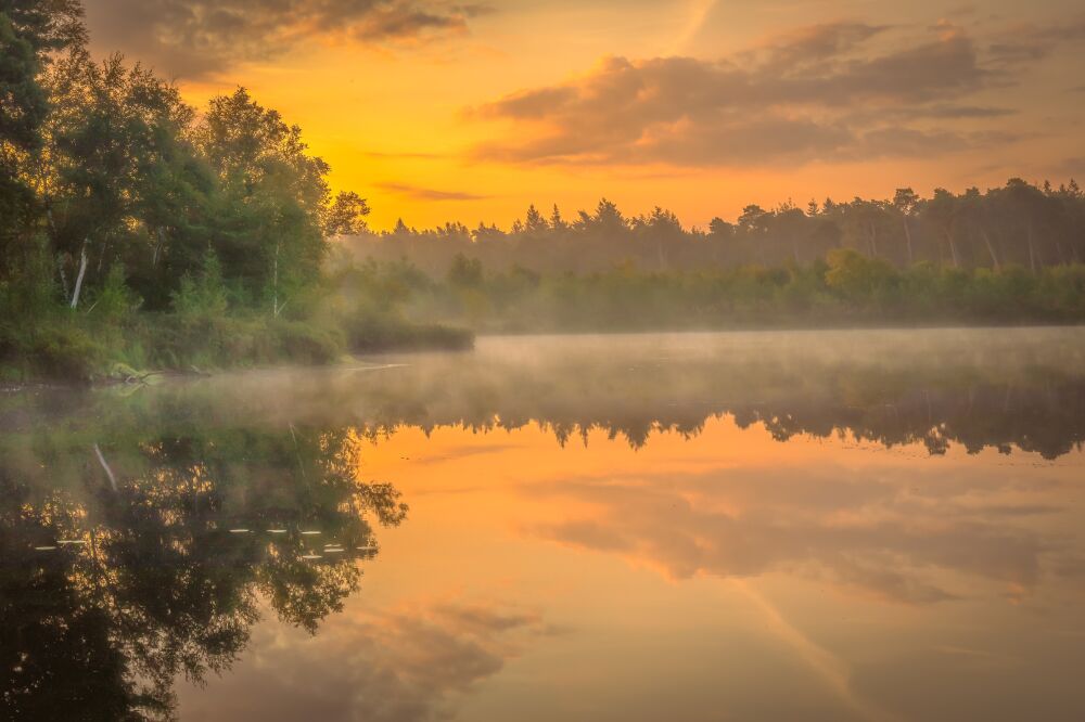 Het Brabantse landschap tijdens zonsopkomst