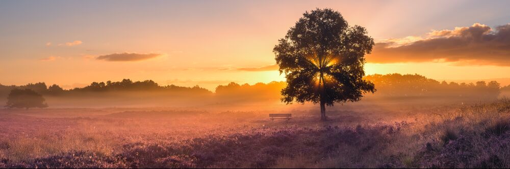 Gasterse Duinen