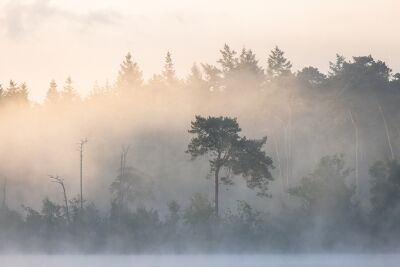 Morning at the Lake