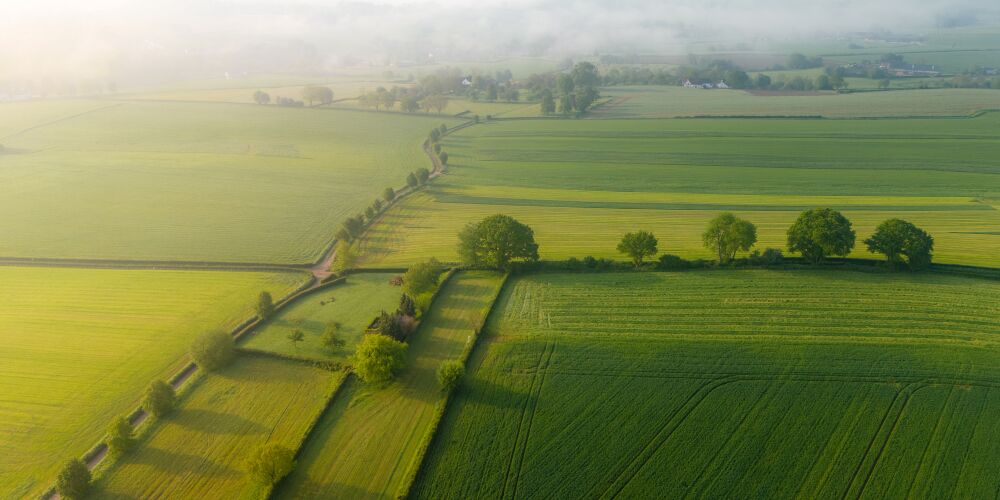 Dutch Valley