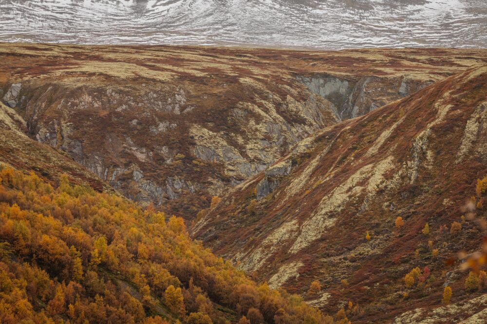 Het wijdste herfstlandschap in de bergen in Noorwegen