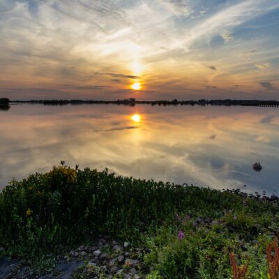 Zonsondergang in het Roegwold