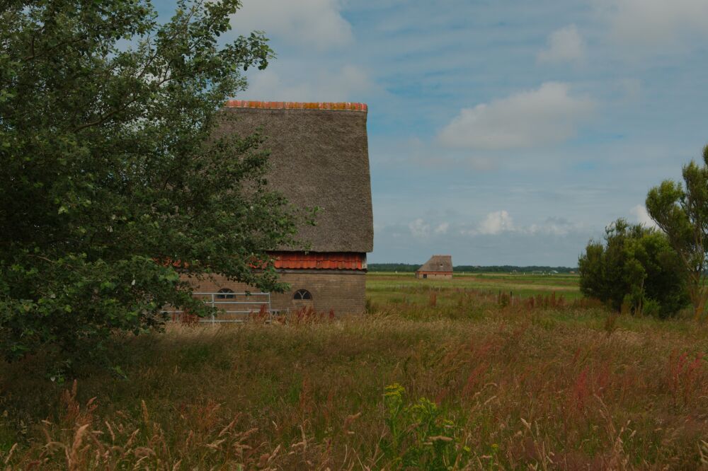 Schapenboeten in het Texelse land