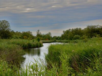 Westzijderveld