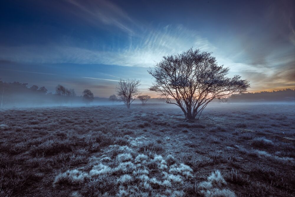 Een koude ochtend op de hei met mist