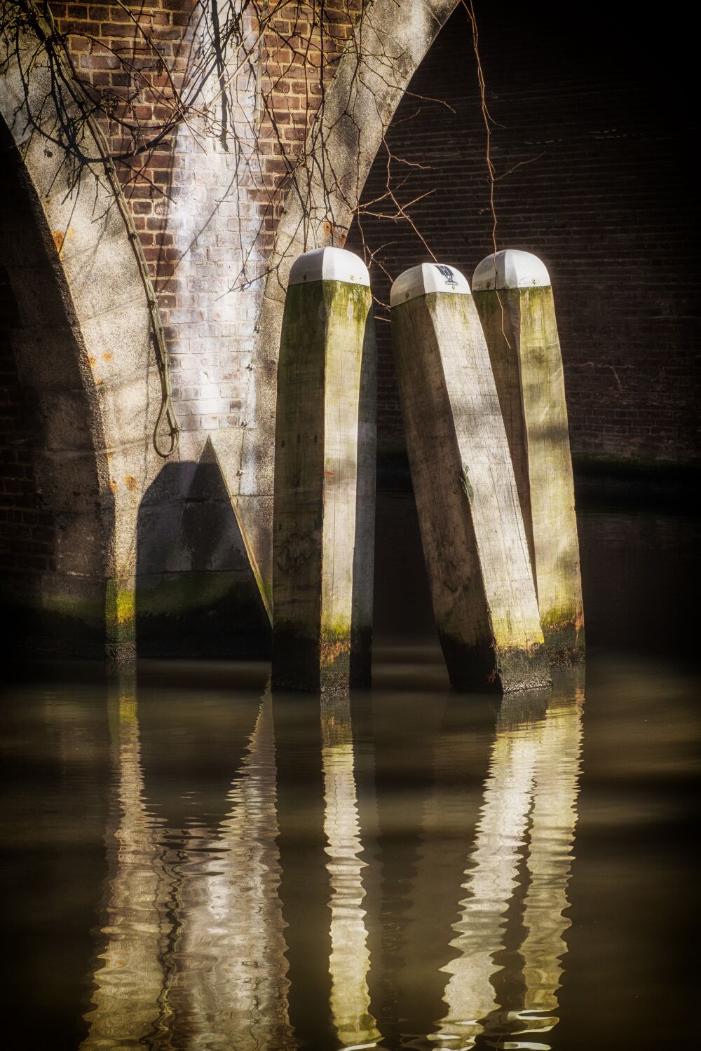 Dolphins in the Oudegracht in Utrecht