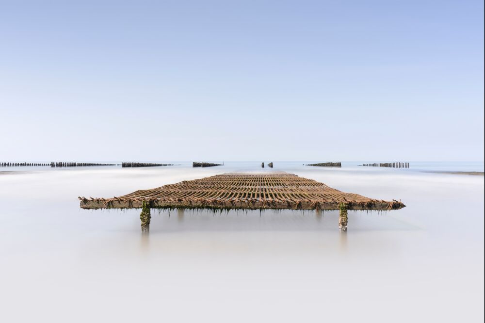 Mussel bed on the Opal Coast