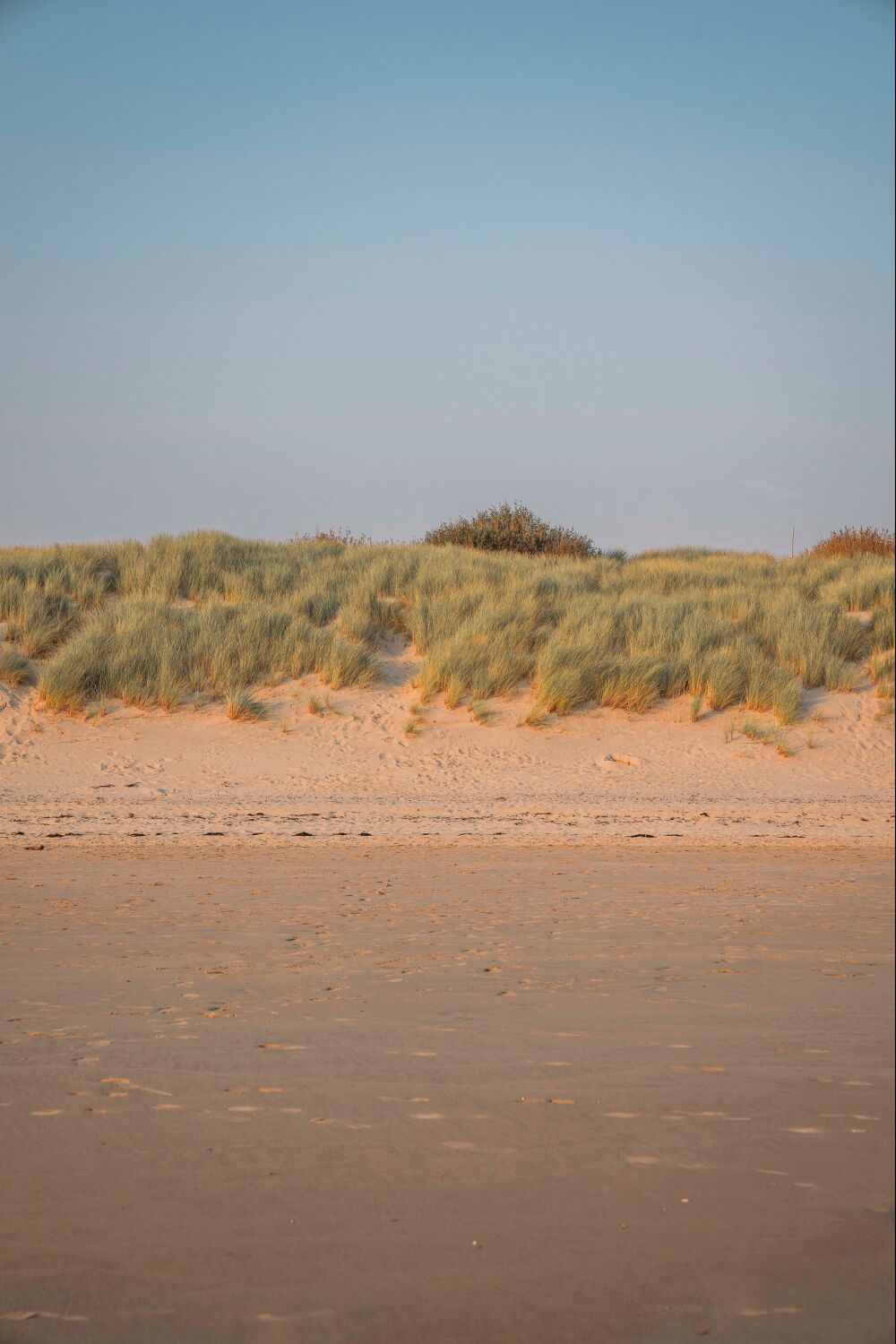 Zomeravond in de Duinen - Rustieke Strandlandschap