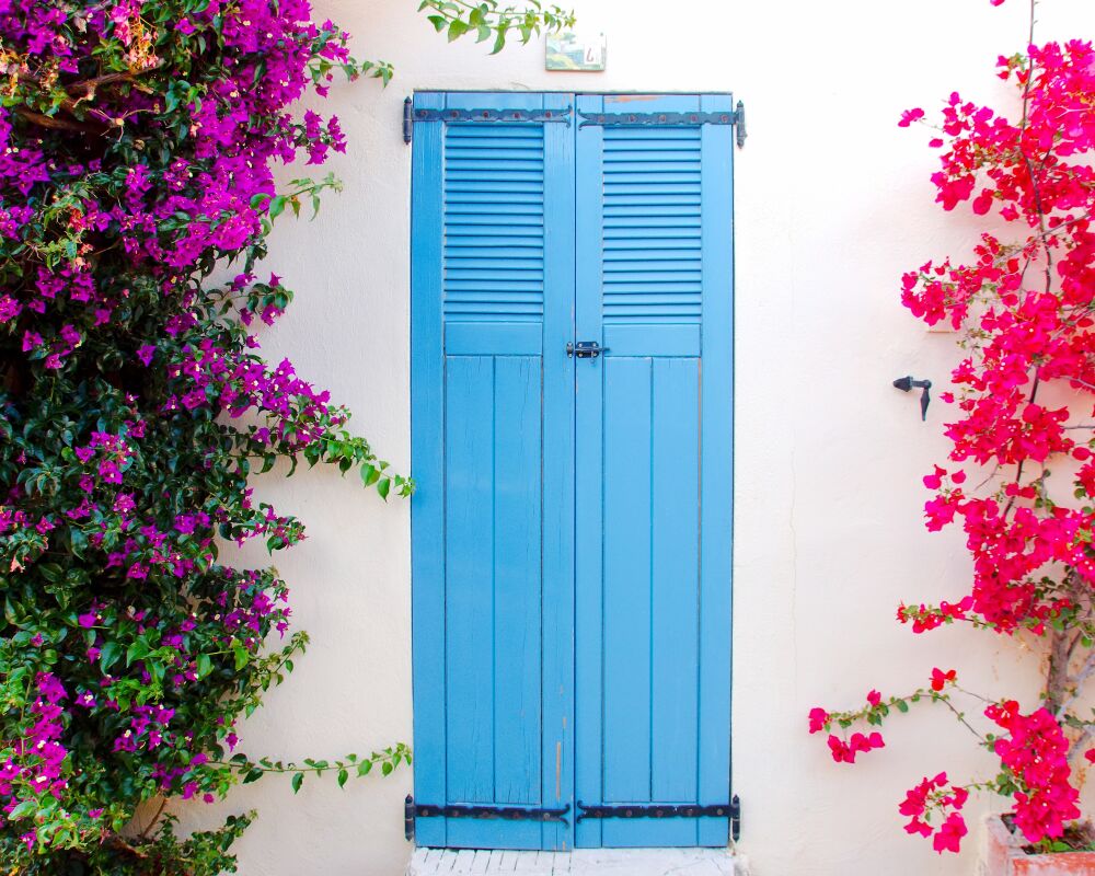 De blauwe deur met Bougainvillea