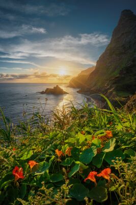 Madeira - Zonsopkomst in het paradijs