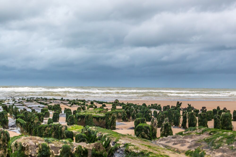 Golfbreker vanuit een laag standpunt