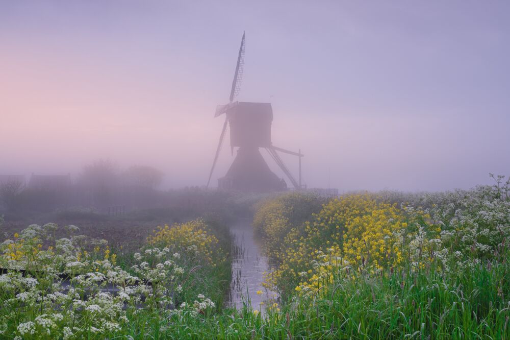 Wipmolen tijdens mistige zonsopgang