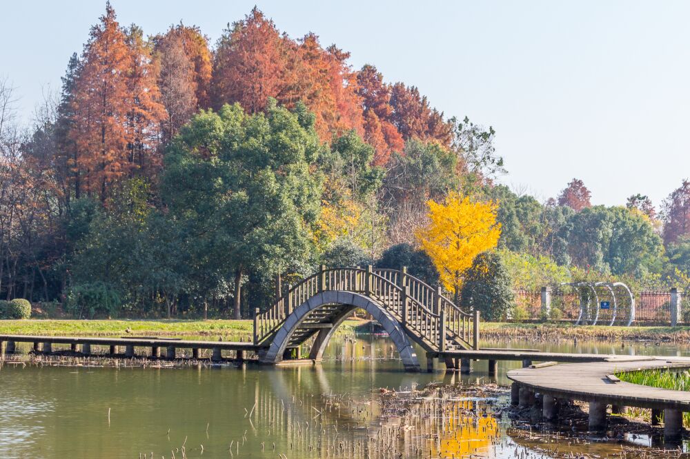 Botanic garden te Wuhan (2)