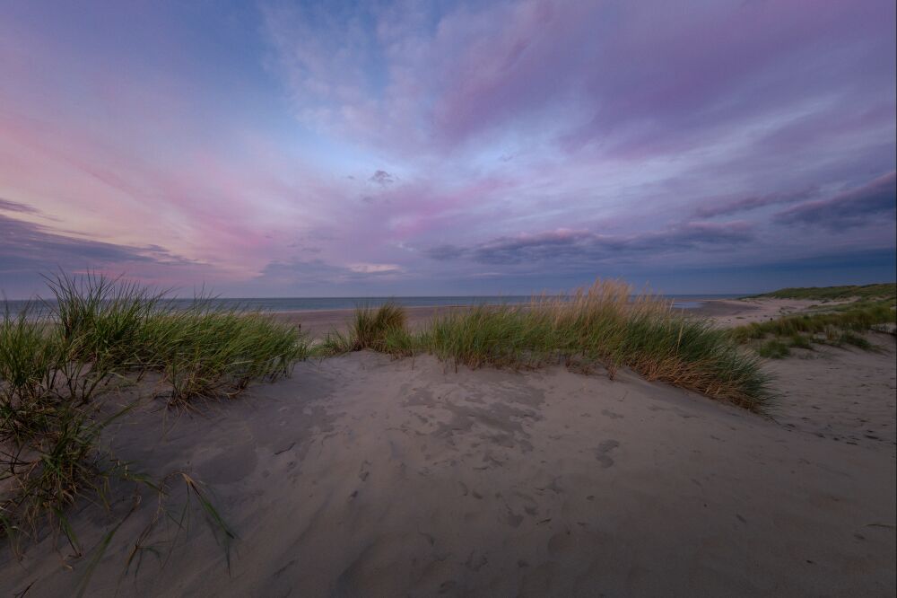 Kleurrijke pasteltinten in de duinen aan zee