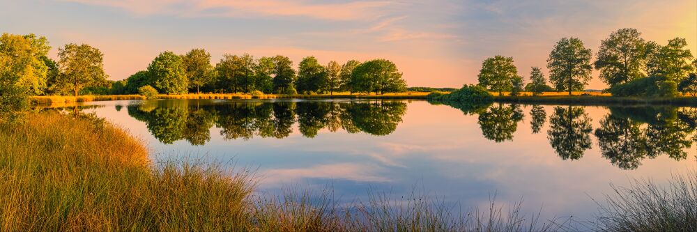 Dwingelderveld