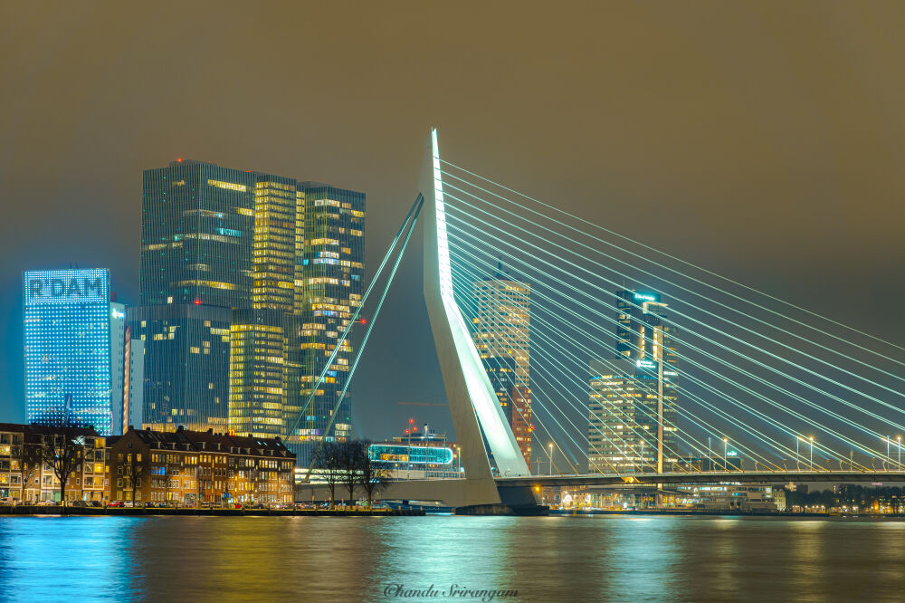 Rotterdamx4