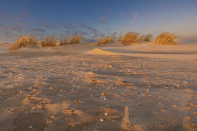 Mooie zonsondergang in de duinen