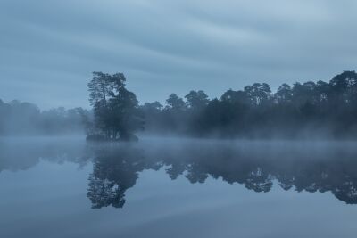 Mist over de Oisterwijkse Vennen