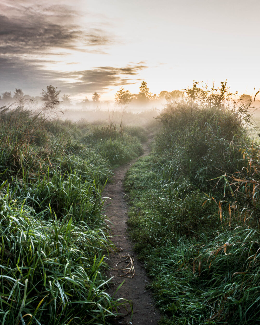 Ochtendwandeling door de natuur