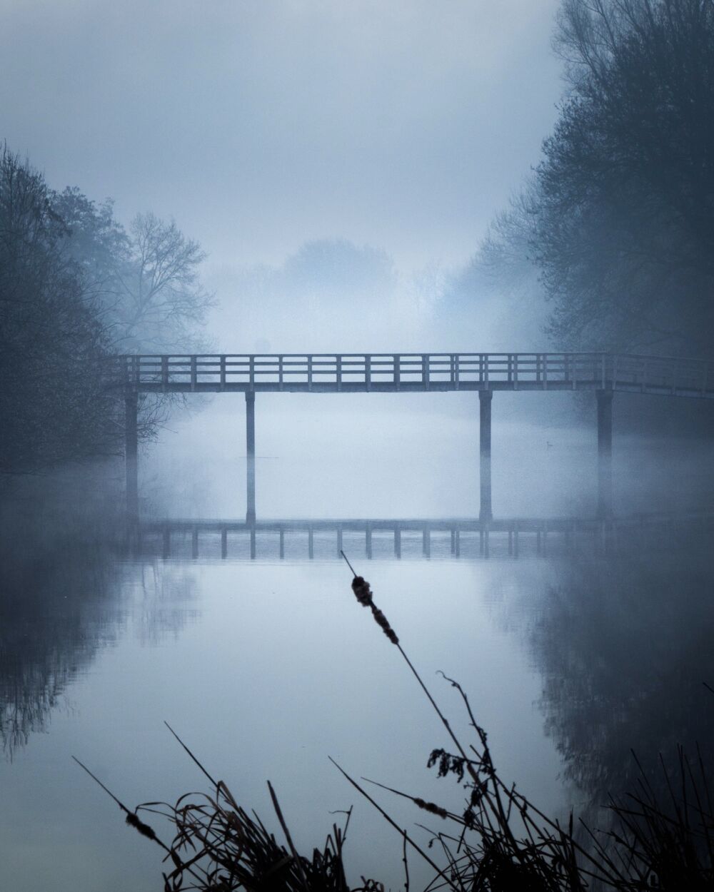 Opkomende mist