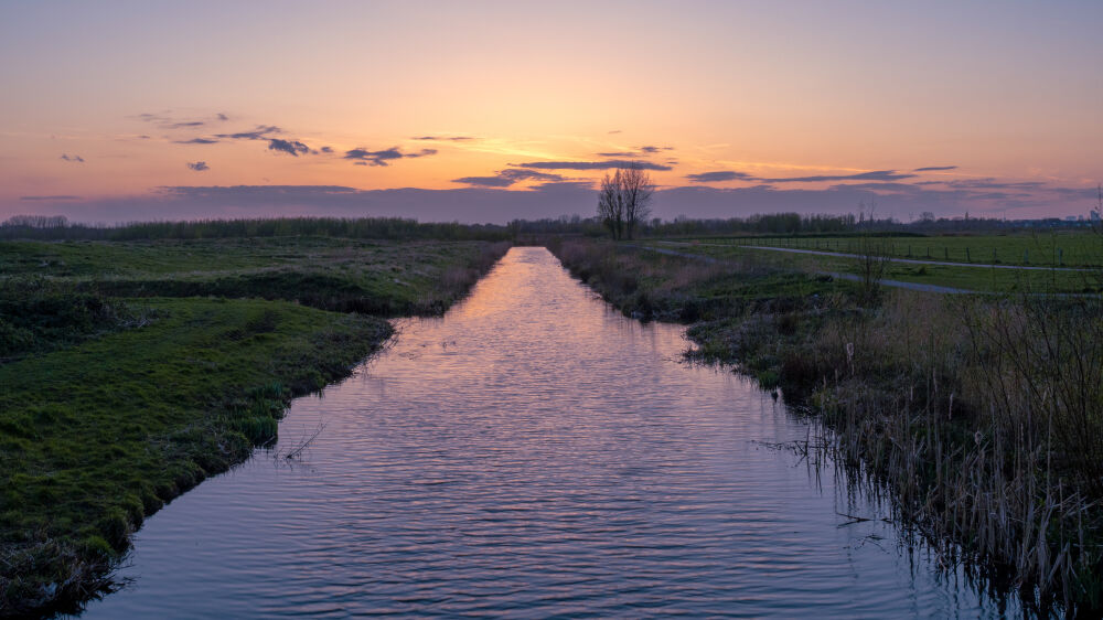 Waalbos sunset 