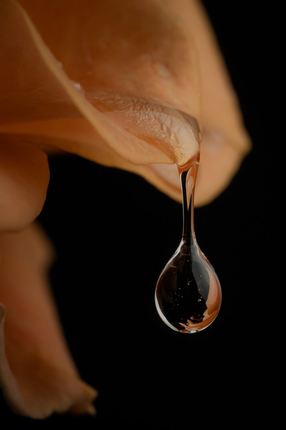 Close-up van waterdruppel