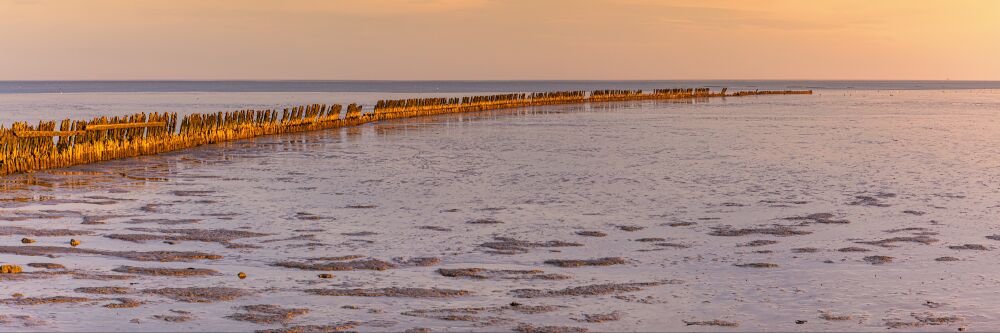 Waddenzee