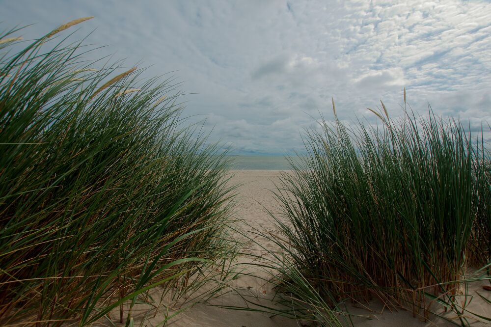 Doorkijkje naar het strand en de zee