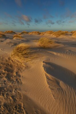 Avondlicht in de duinen op Texel