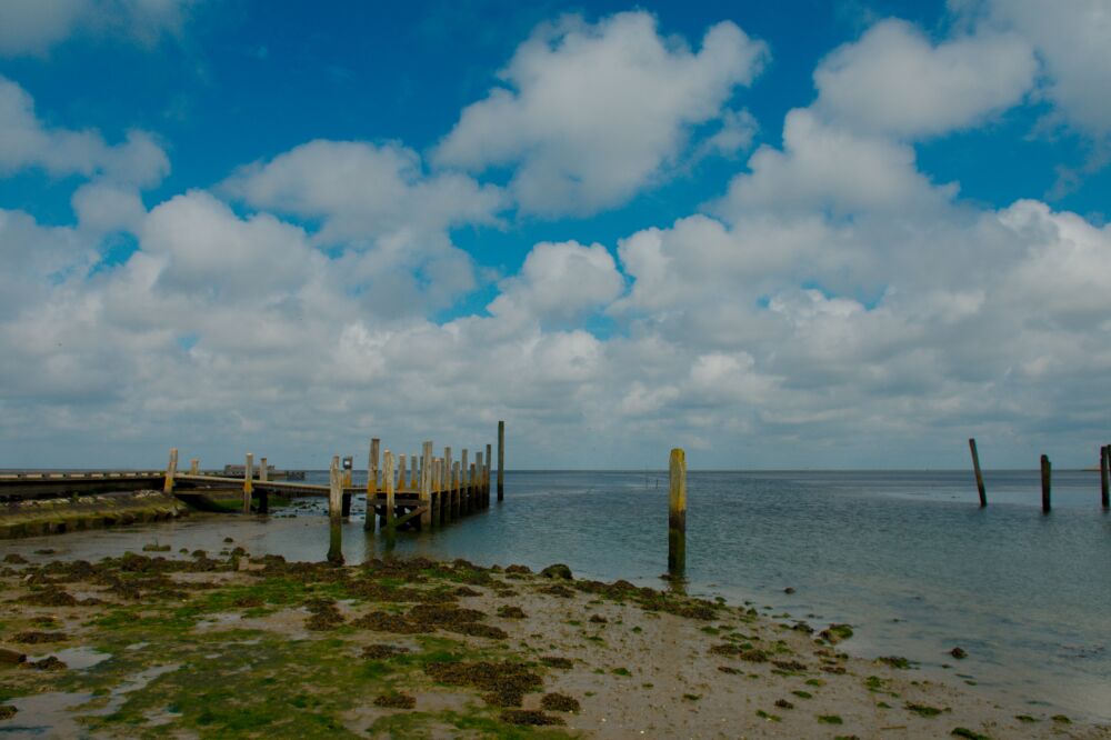 Haventje van Sil in De Cocksdorp