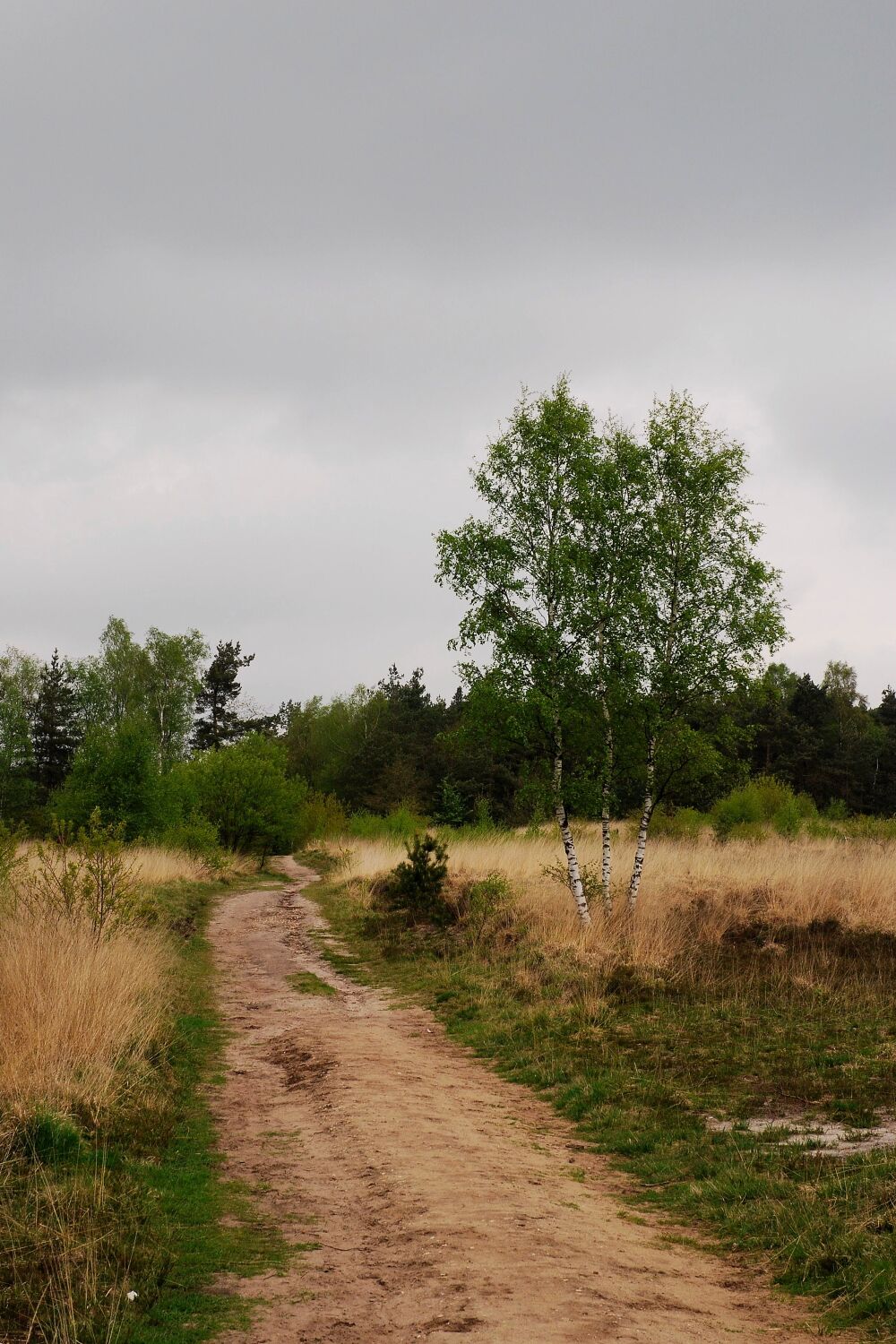 ochtend wandeling