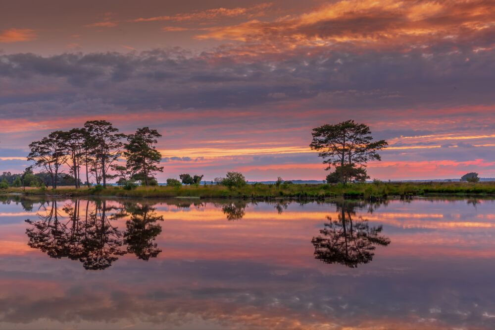 Spiegeling in het Drenthe landschap