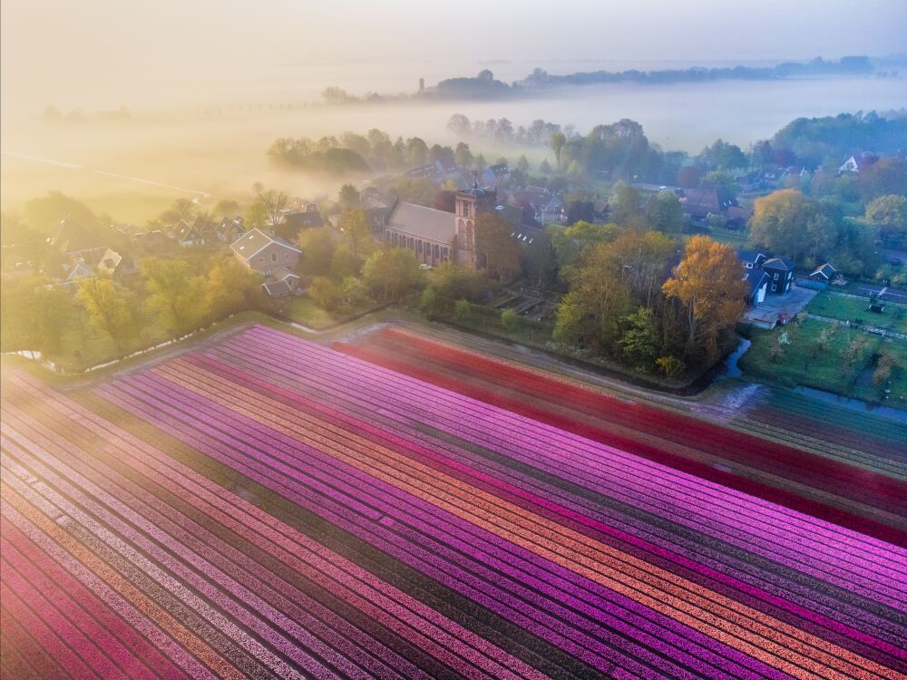 Het tulpendorpje van 2023