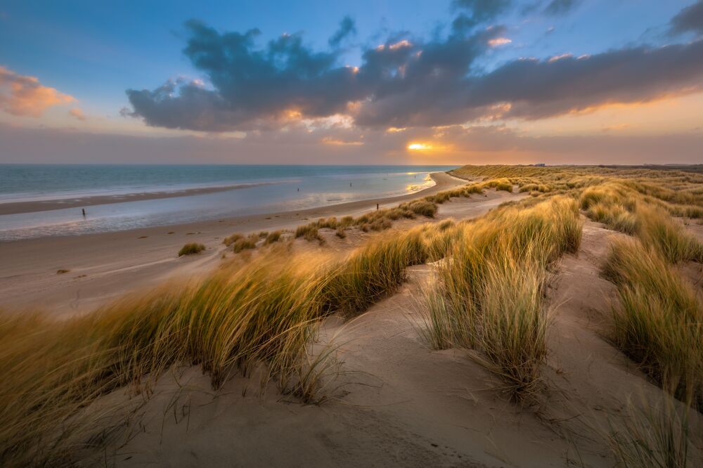 Texelse duinen bij zonsopkomst