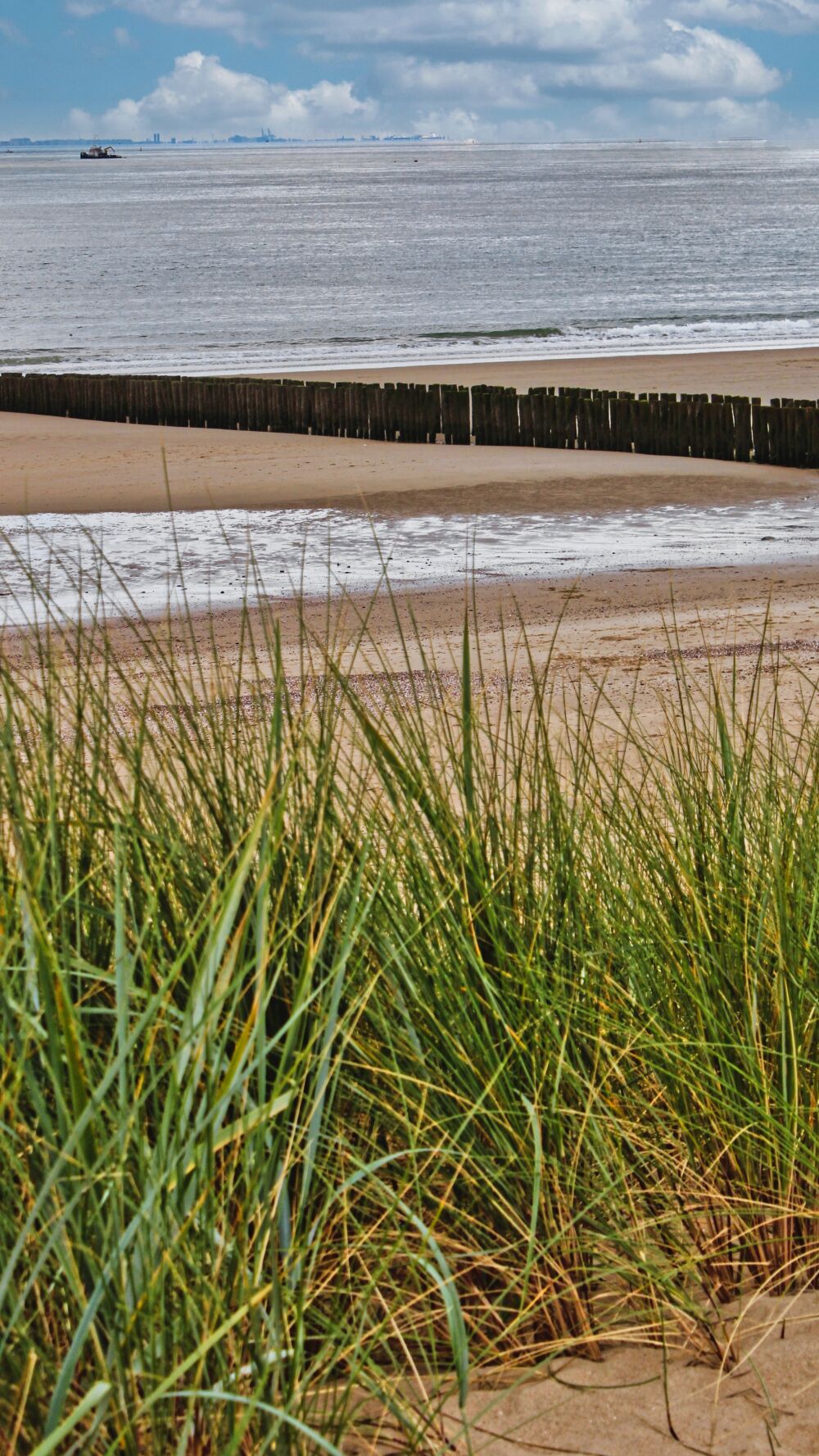 Beach Vlissingen