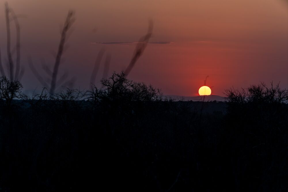 Sunset in Kruger National Park, South Africa