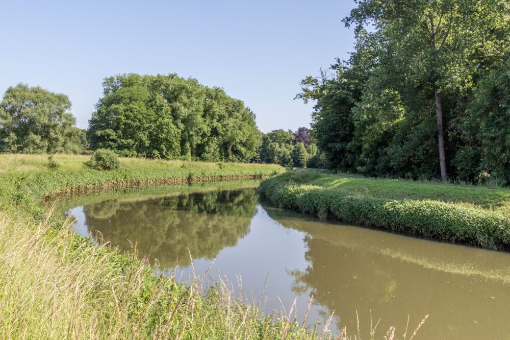 De Dijle bij het natuurgebied 'Mechels Broek'