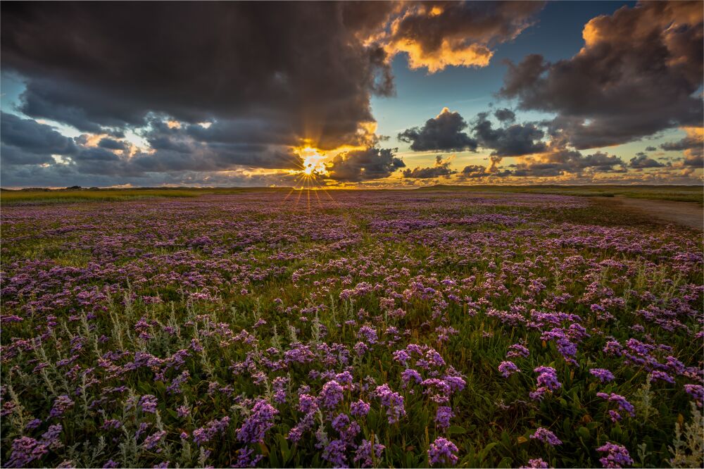 Zonsopgang in de Slufter